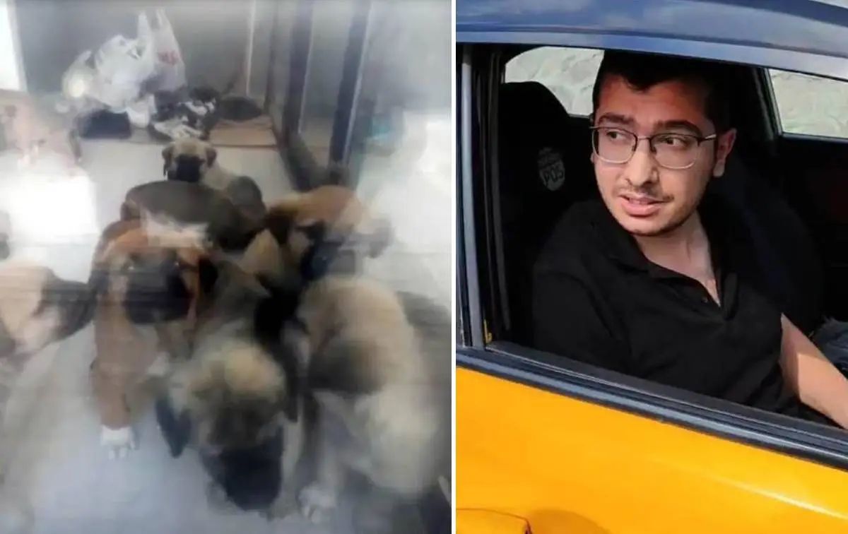 Ankara'da doktorun köpekleri öldürme davasında ceza 4 yıl 4 aya indi! Cinsel istismar suçlaması düştü